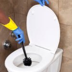 Woman cleaning the toilet.